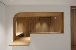 PAULINE SCHNITZLER - ASCH